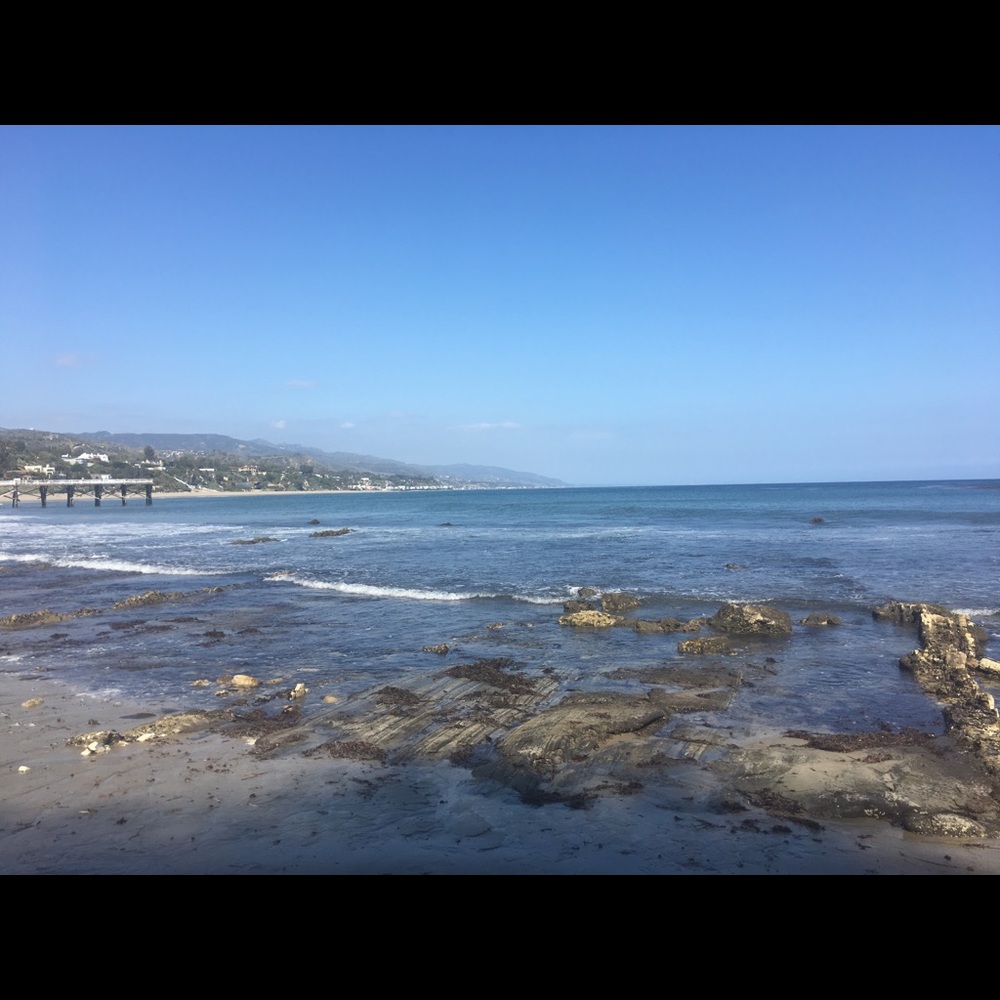 Meet your Posher, Carmen